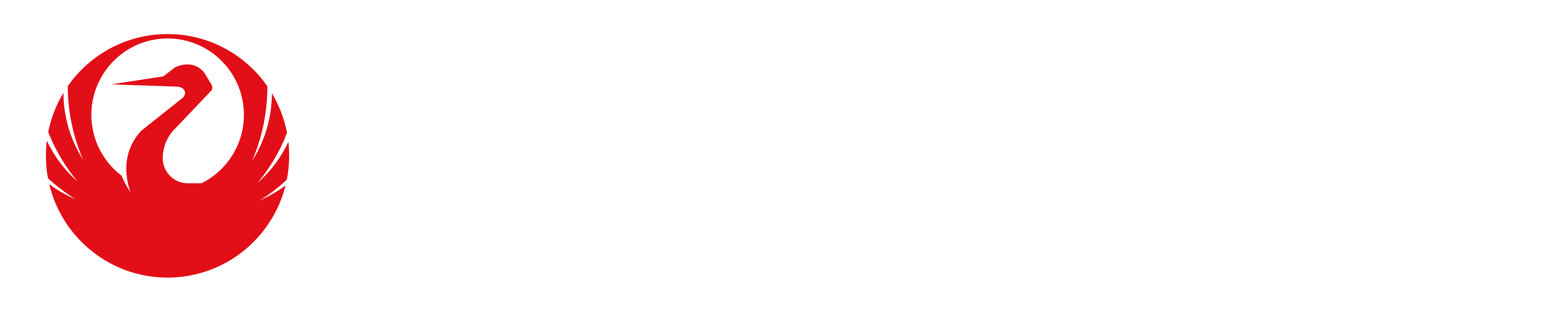 JAL Virtual Logo